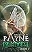Remnant (Adventures in Payn...