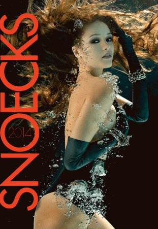 Snoecks 2014 (Paperback)