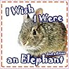 Children Book: I ...