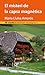 El misteri de la capsa magnètica