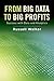 From Big Data to Big Profit...