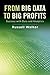 From Big Data to Big Profits by Russell  Walker