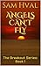 Angels Can't Fly (The Breakout, #1)