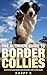 The Ultimate Guide To Border Collies: How to Train Your Border Collie the Border Collie Owners Guide (Dog Training Guide, Border Collies)
