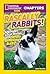 Rascally Rabbits!: And More...