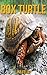 Box Turtle: Children Book of Fun Facts & Amazing Photos on Animals in Nature - A Wonderful Box Turtle Book for Kids aged 3-7