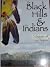 Black Hills and the Indians