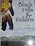 Black Hills and the Indians