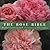 The Rose Bible by Rayford Clayton Reddell The Rose Bible by Rayford Clayton Reddell