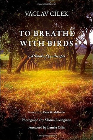 To Breathe with Birds: A Book of Landscapes (Penn Studies in Landscape Architecture)