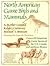 North American Game Birds and Mammals
