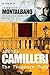 The Treasure Hunt (Inspector Montalbano, #16)