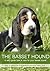 The Basset Hound: A vet's guide on how to care for your Basset Hound