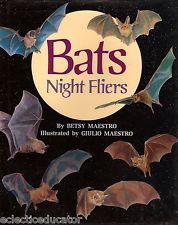 Bats: Night Fliers (Paperback)