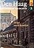 Den Haag, geschiedenis van de stad, deel 2: de tijd van de republiek