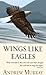 Wings like Eagles by Andrew Murray