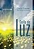 Ceifa de Luz (Portuguese Edition)