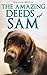 The Amazing Deeds of Sam
