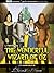 The Wonderful Wizard Of Oz (illustrated)