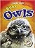 Baby Owls