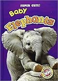 Baby Elephants