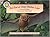 Red Bat At Sleepy Hollow Lane
