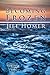 Becoming Frozen by Jill Homer
