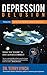 Depression Delusion Volume One by Terry  Lynch