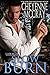 Slow Burn (Lawmen, #3)