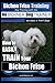 Bichon Frise Training | Dog Training with the No BRAINER Dog TRAINER ~ We Make it THAT Easy!: How to EASILY TRAIN Your Bichon Frise