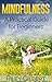 Mindfulness: A Practical Guide for Beginners