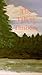 The Tallest Timbers by Dana Thomas Weber