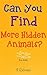 Can you Find the Hidden Things?: More Animals (Questions to Ask)