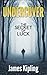 Undercover: The Secret of Luck