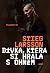 Dívka, která si hrála s ohněm  (Millennium, #2)