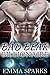 Bad Bear Billionaire (Bear Billionaire, #2)
