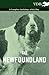 The Newfoundland - A Complete Anthology of the Dog