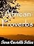 African Proverbs (A World of Proverbs Book 13)