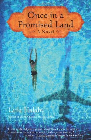 Once in a Promised Land (Hardcover)