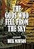 The Gods Who Fell From the Sky: A memoir about Dick Mawson’s adventurous life
