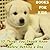 Books For Kids: 10 Things You Should Know Before Getting a Dog (Dog Picture Books For Kids) (The Most Popular Dog Breeds of 2015)