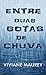Entre duas gotas de chuva (Portuguese Edition)