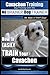 Cavachon Training | Dog Training with the No BRAINER Dog TRAINER ~ We Make it THAT Easy!: How to EASILY TRAIN Your Cavachon