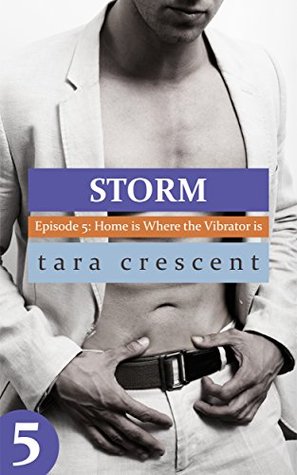 Home is Where the Vibrator is (Storm #5)