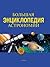 Большая энциклопедия астрономии (Russian Edition)