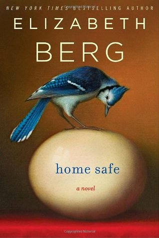 Home Safe (Hardcover)