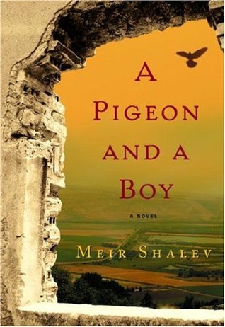 A Pigeon and a Boy (Hardcover)