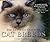 The Ultimate Guide to Cat Breeds