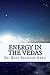 Energy in the Vedas