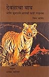 Temple Tiger